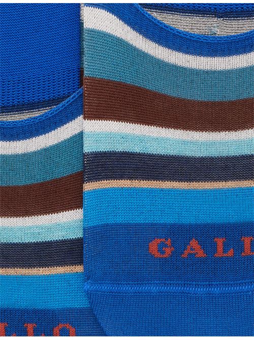 AP51575310580 FANTASIA gallo | AP51575310580 FANTASIA